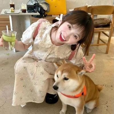 寻觅